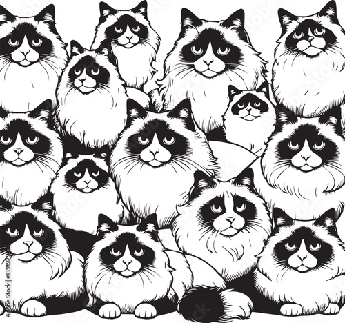 Black and White Ragdoll Cat Vector