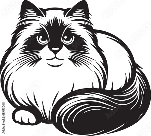 Black and White Ragdoll Cat Vector