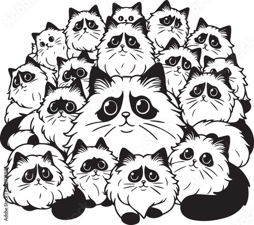 Black and White Ragdoll Cat Vector