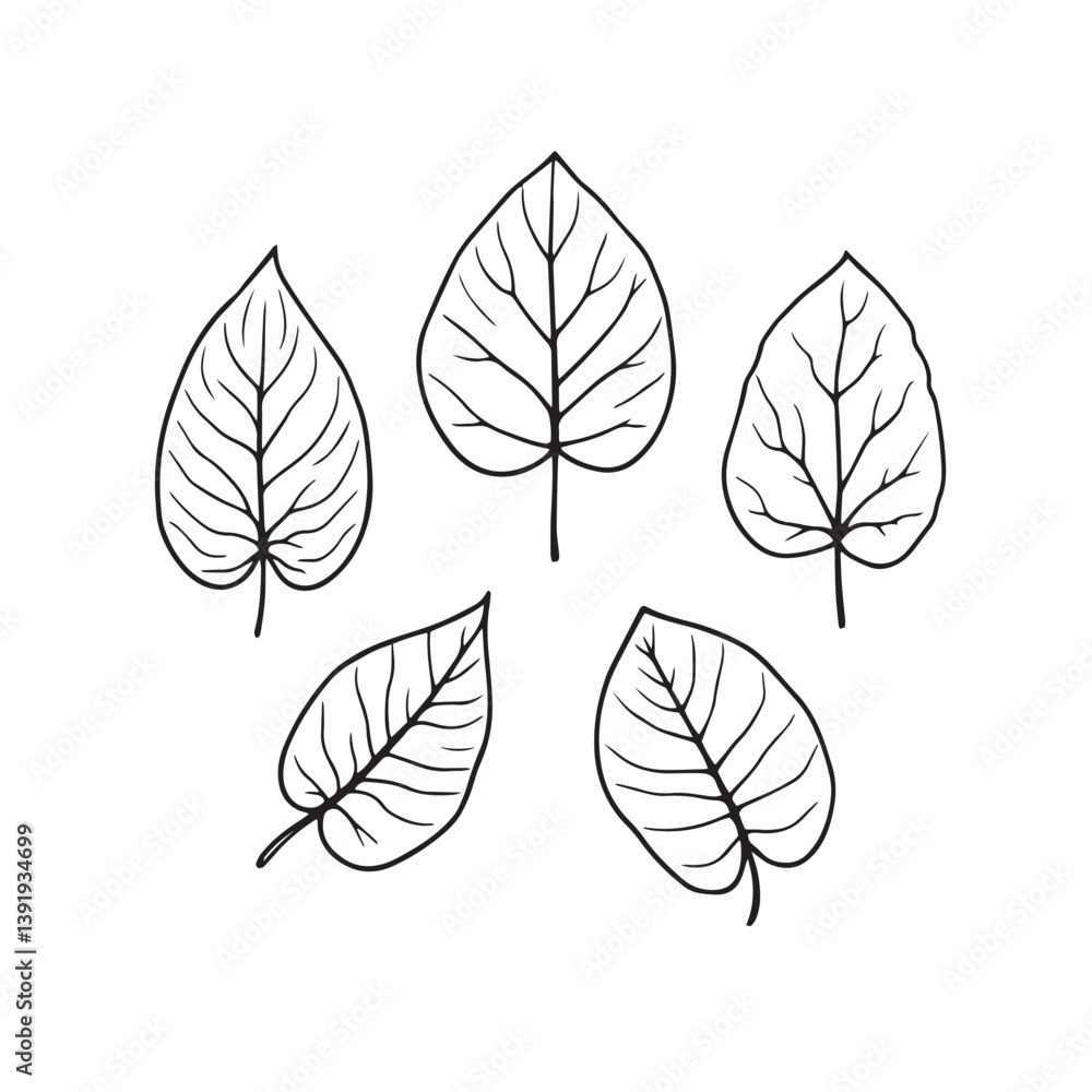 Fototapeta premium Minimalist Pothos Leaf Vector Line Art Drawing