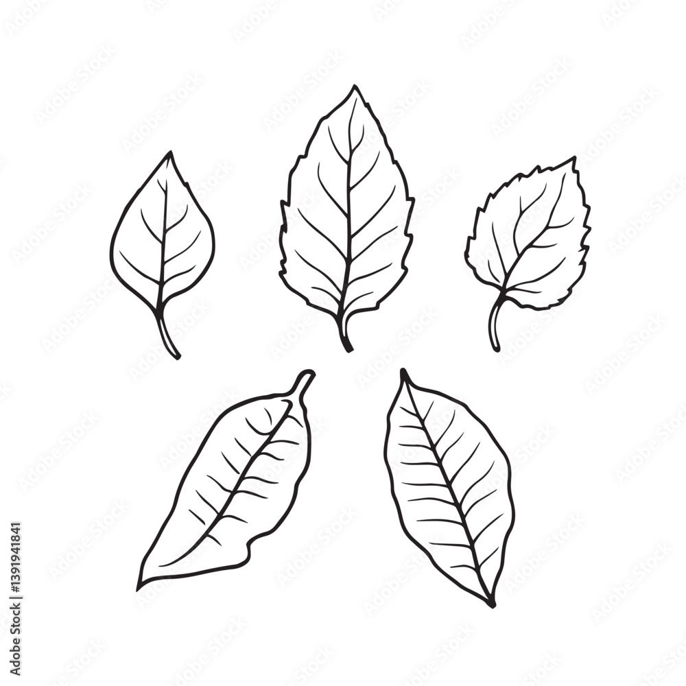 Pepper Leaf Vector Line Art Elegant Design Pepper Leaf Vector Line Art Elegant Design