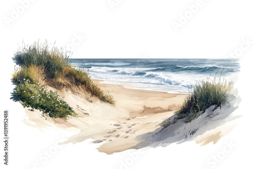 Serene coastal dune path leading to ocean waves soft light sandy beach watercolor painting isolated on transparent background