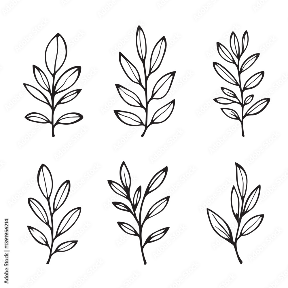 Fototapeta premium Elegant Olive Leaf Line Art for Creative Projects