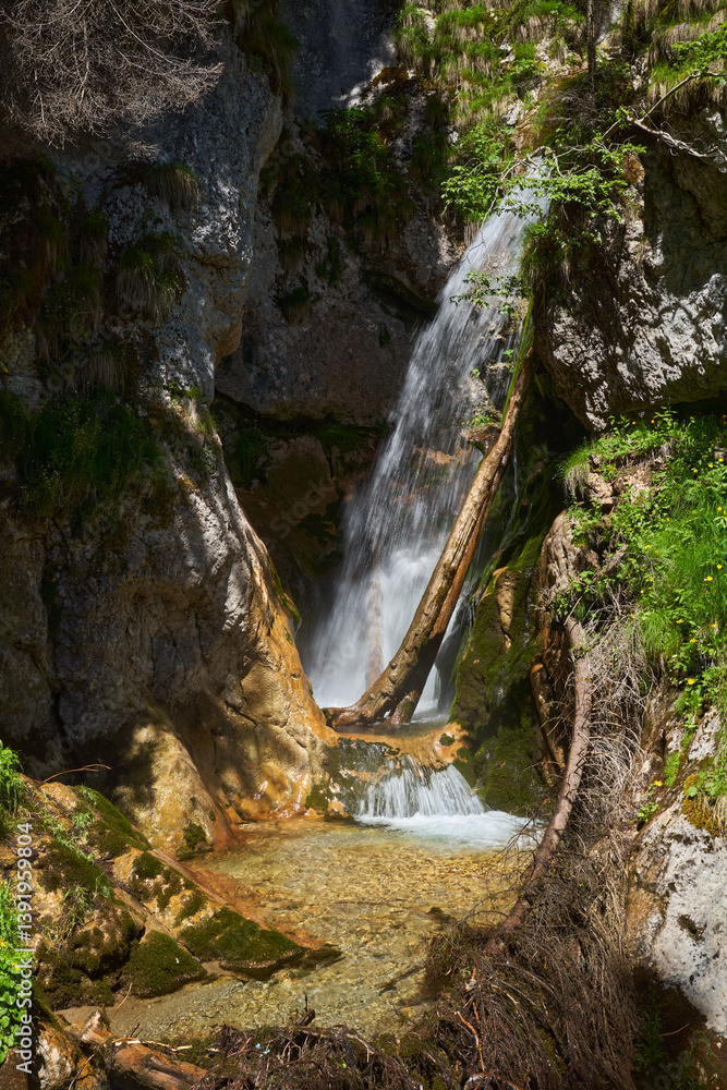 Waterfall flowing into forest pool
