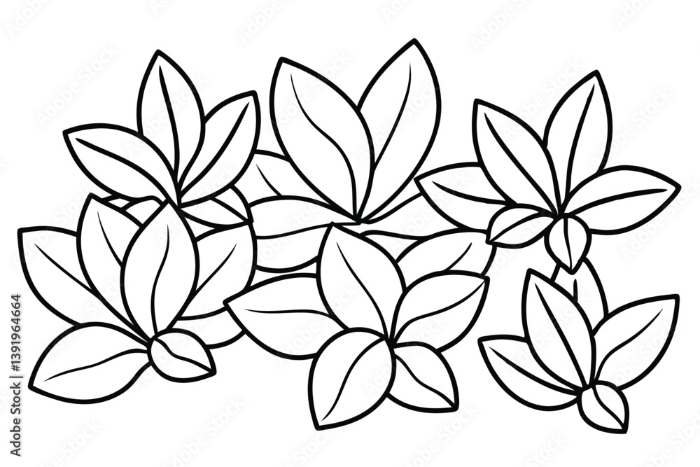 Kalanchoe Leaf Line Art Decorative Design for Leaf Pattern Drawing Kalanchoe Leaf Line Art Decorative Design for Leaf Pattern Drawing