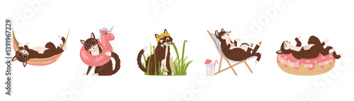 Cute cat doing summertime activities flat vector illustrations set isolated on white. Cat laying in hammock, wearing swimming ring, eating fresh grass, relaxing in swimming ring and sun lounger.