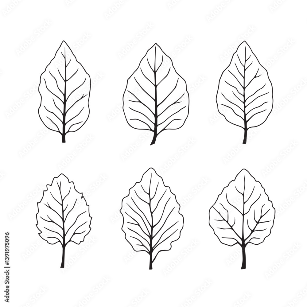Obraz premium Papaya Leaf Vector Line Art Design for Branding