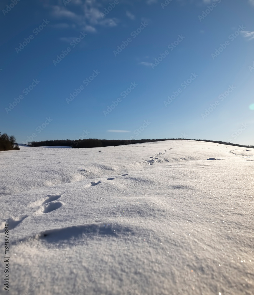 thick layer of snow from under which plants are not visible, a forest is near the field thick layer of snow from under which plants are not visible, a forest is near the field