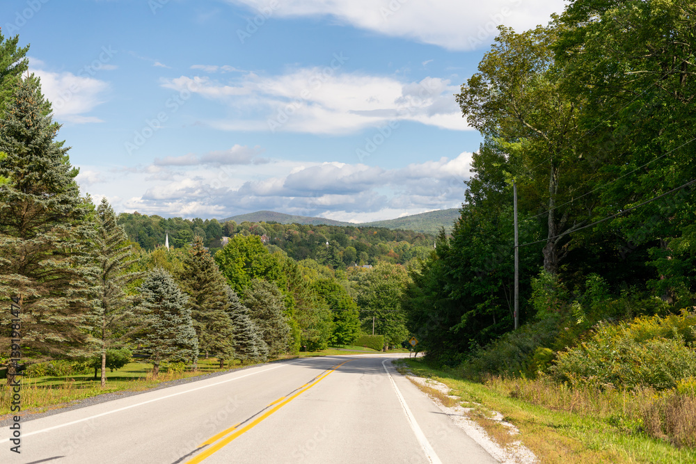 Fototapeta premium Asphalt road through pine forest