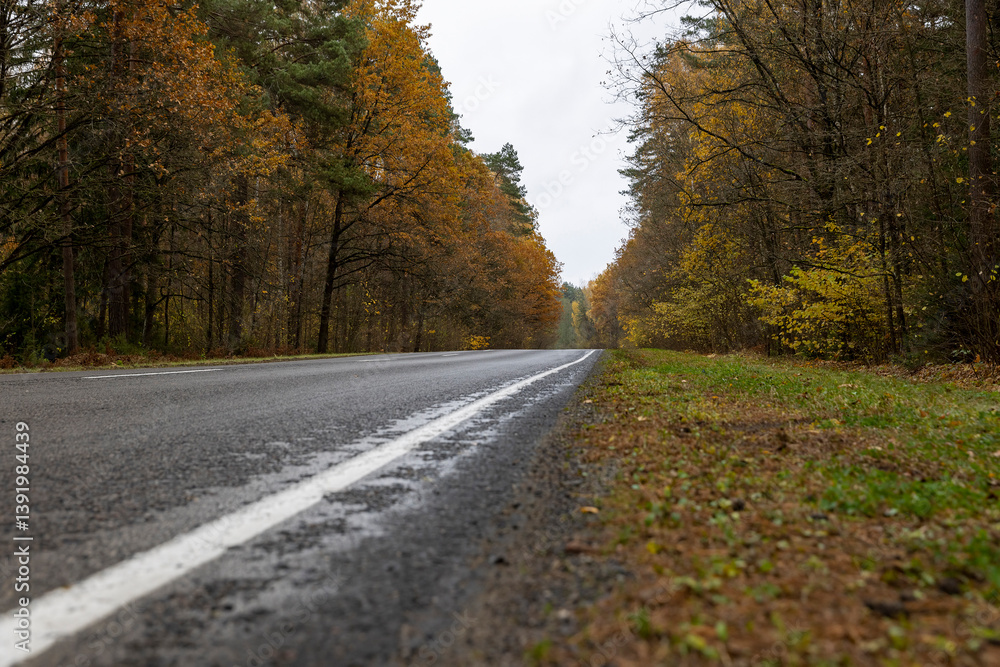 yellow and orange foliage falling on the road during the autumn leaf fall, side view yellow and orange foliage falling on the road during the autumn leaf fall, side view