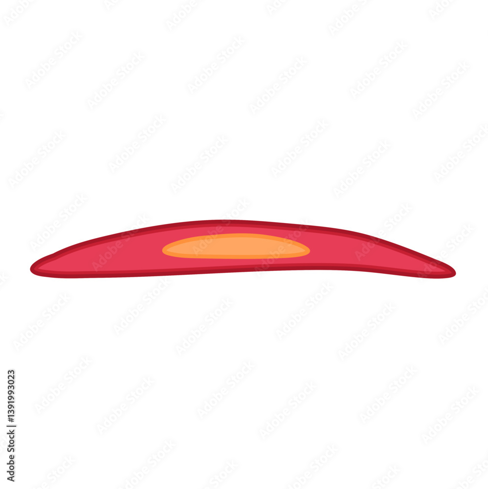 Smooth muscle tissue. Medical vector illustration. Smooth muscle tissue. Medical vector illustration.