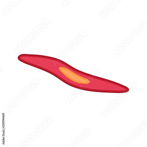 Smooth muscle tissue. Medical vector illustration.