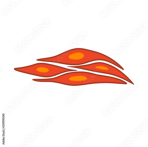 Smooth muscle tissue. Medical vector illustration.