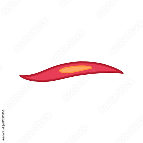 Smooth muscle tissue. Medical vector illustration.