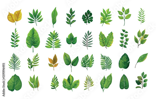 Various leafs cartoon vector set. Stalk vegetation blades exotic horticultural fronds botanic greenery garden leaves, isolated illustrations on white backdrop