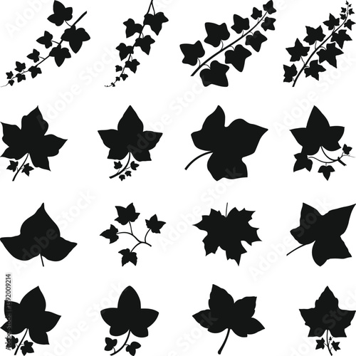 Ivy leaf SVG Silhouette, Ivy Leaf Silhouette, Leaves Clipart, Leaf Vector File,