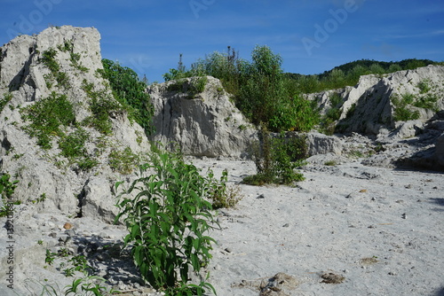 Canvas-taulu lahar rock formation