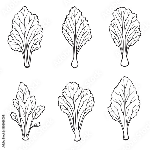 Elegant Kohlrabi Leaf Line Art Vector for Creatives