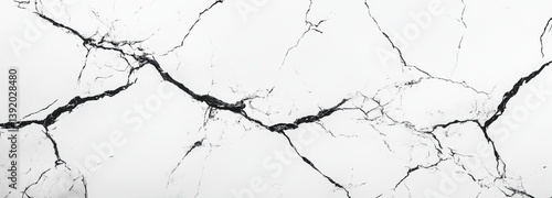 Принти на полотні White marble reveals an abstract pattern of intricate black veining against a br
