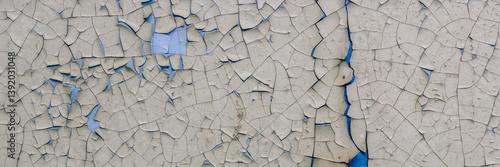 Obraz na płótnie Peeling paint on the wall. Panorama of a concrete wall with old cracked flaking paint. Weathered rough painted surface with patterns of cracks and peeling. Panoramic texture for background and design. w salonie