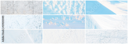 Obraz na płótnie Set of snow textures. A collection of light winter backgrounds including: smooth clean white snow, wind sculpted patterns on the snowy ground, branches of trees and bushes covered with snow and frost. w salonie