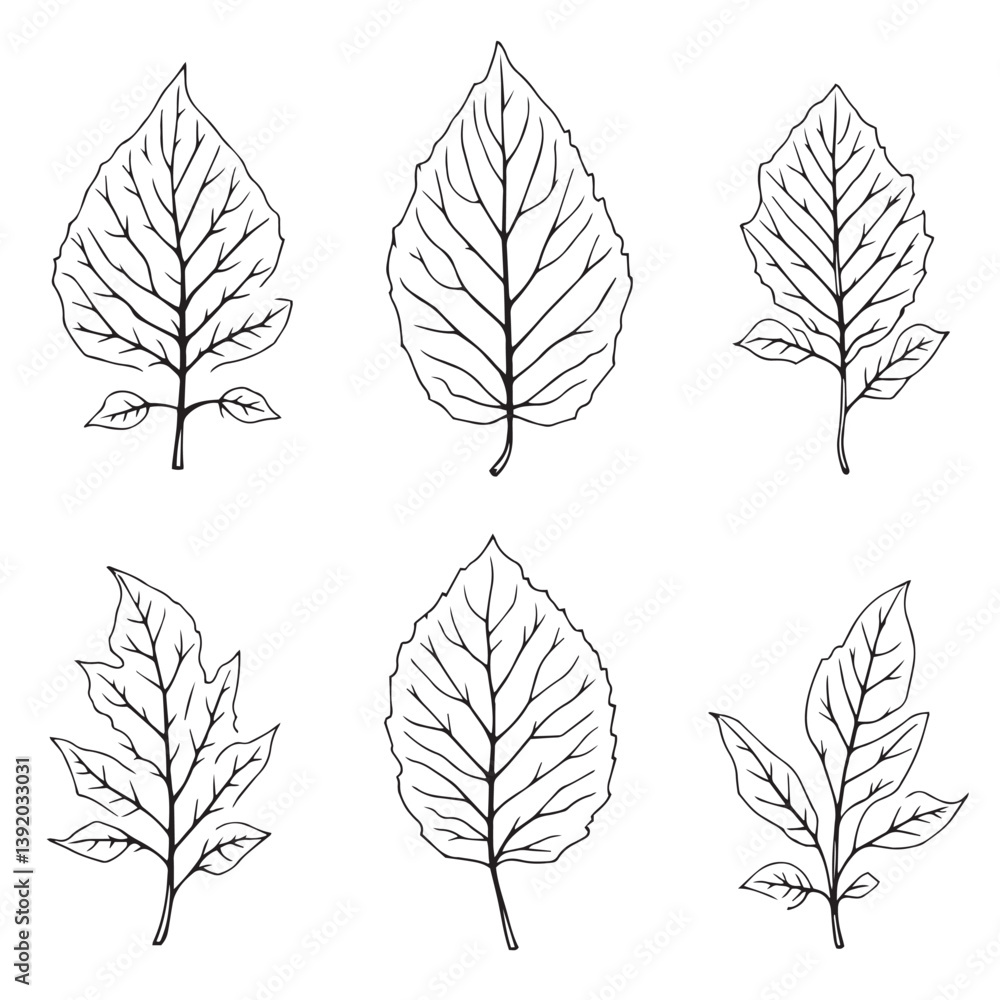 Obraz premium Guava Leaf Vector Line Art Elegant Design Style