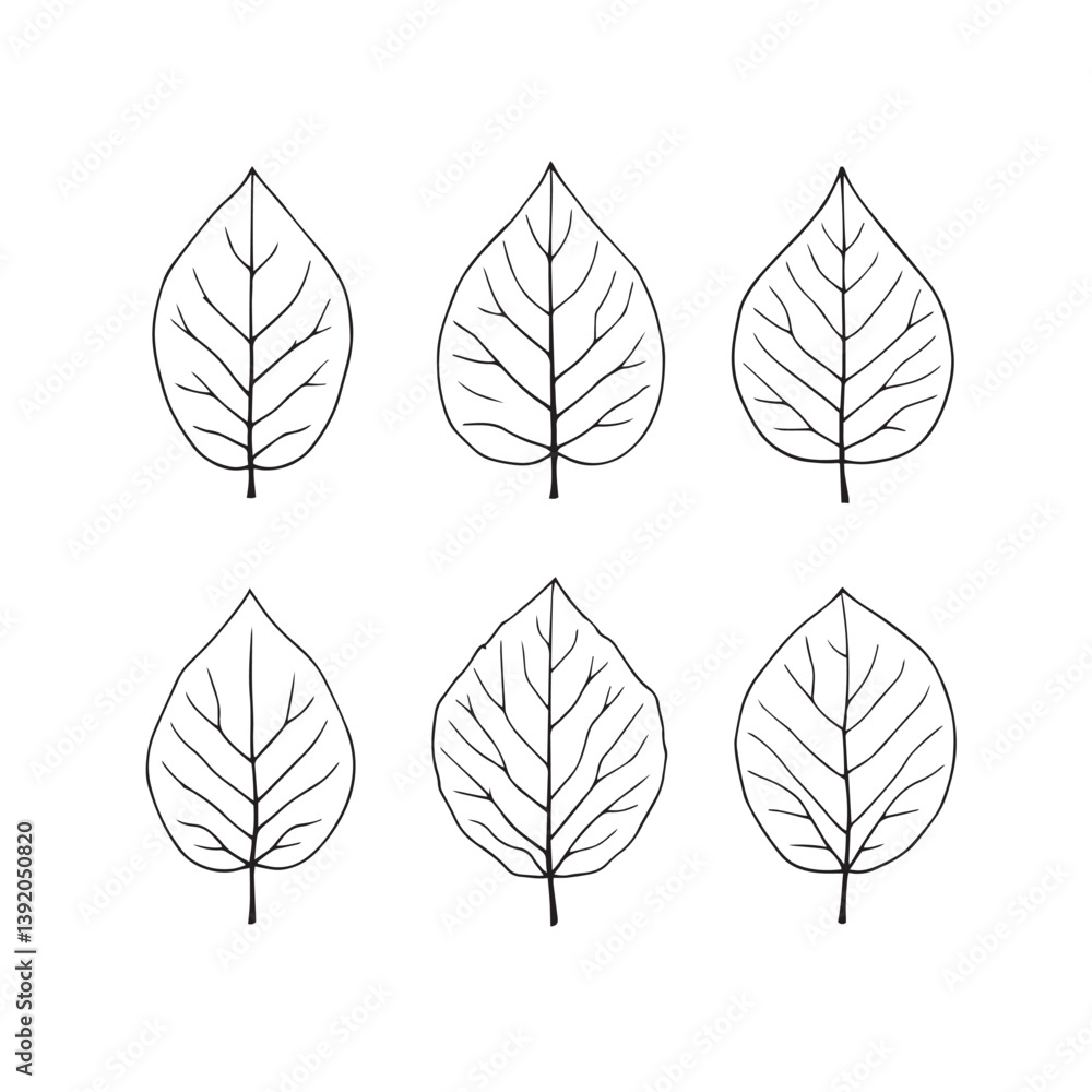 Elegant Custard Apple Leaf Vector Line Art Design Elegant Custard Apple Leaf Vector Line Art Design