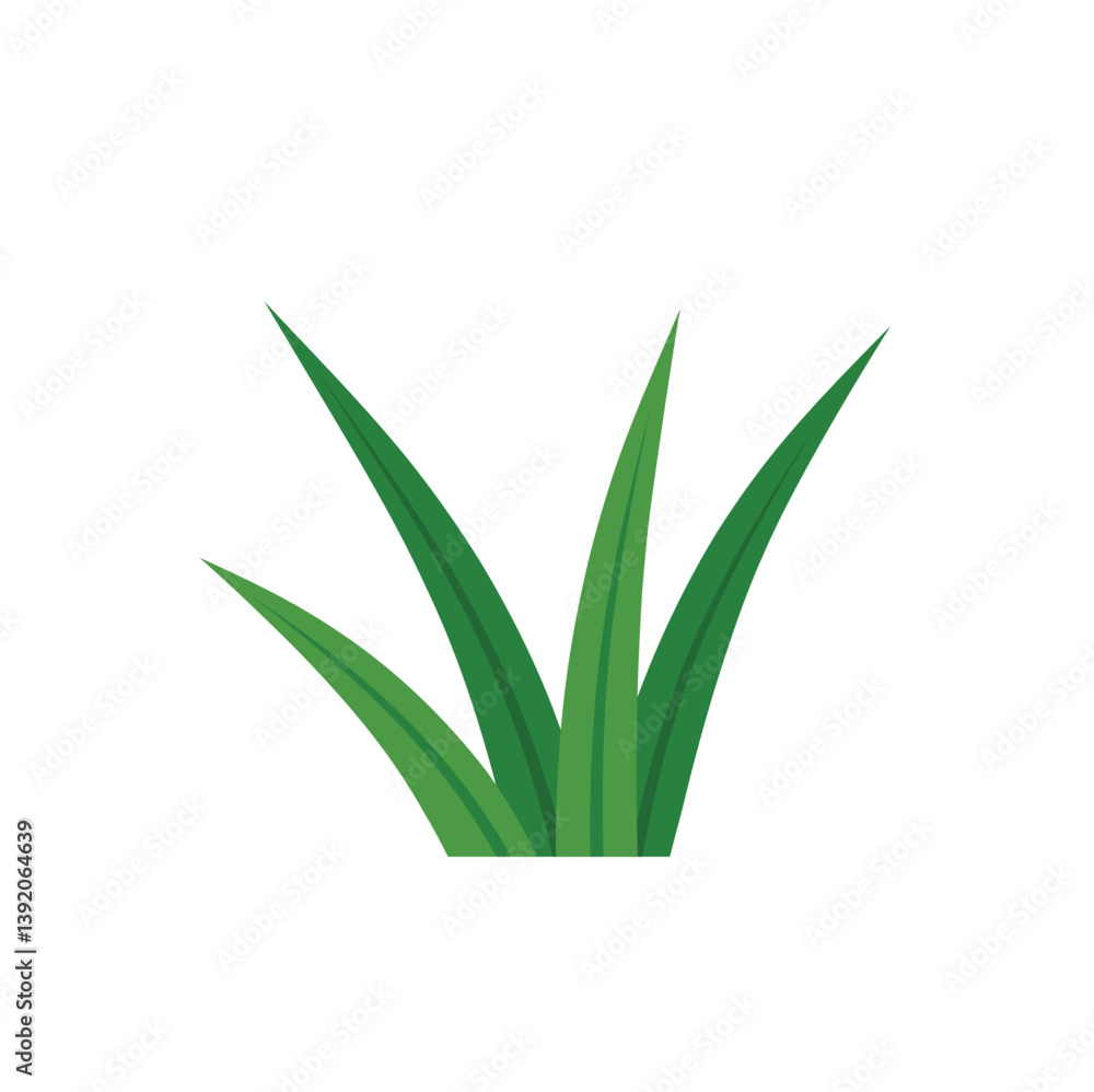 Obraz premium Pandan Leaves Illustration