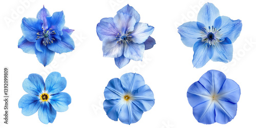 Collection of six delicate blue flowers isolated transparent background perfect for floral designs