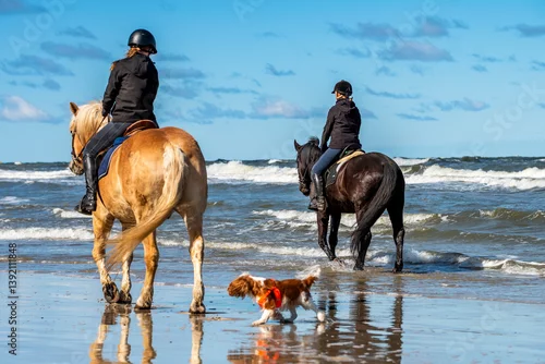 Fototapeta samoprzylepna Nauka jazdy konnej w terenie po plaży jako alternatywa dla morskich kąpieli. Wakacyjny odpoczynek czasem na naukę nowego hobby i znalezienia pasji. Rodzinny zastęp konny z psem.