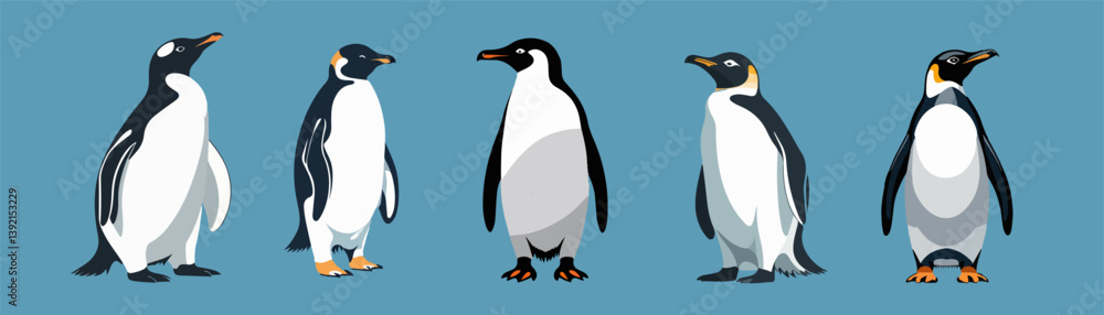 Obraz premium set vector of penguin