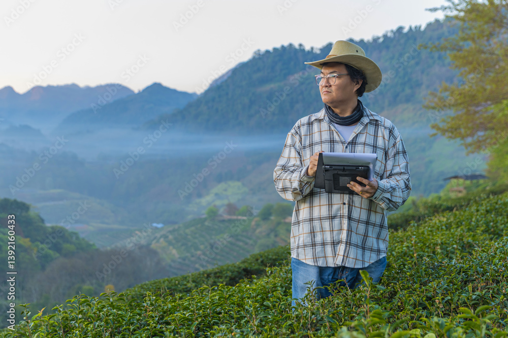 Naklejka premium Farmer inspects tea fields. Smart farming and digital farming in Green tea industry. Agricultural researchers monitor the quality of tea leaves in plantation. Farmer Tea Plantation checking quality