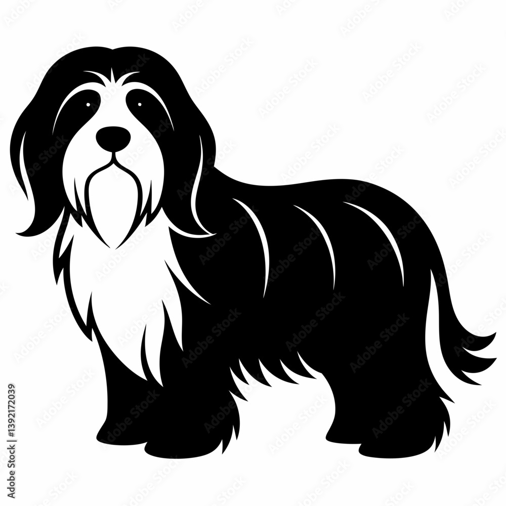 Bearded Collie vector silhouette Bearded Collie vector silhouette