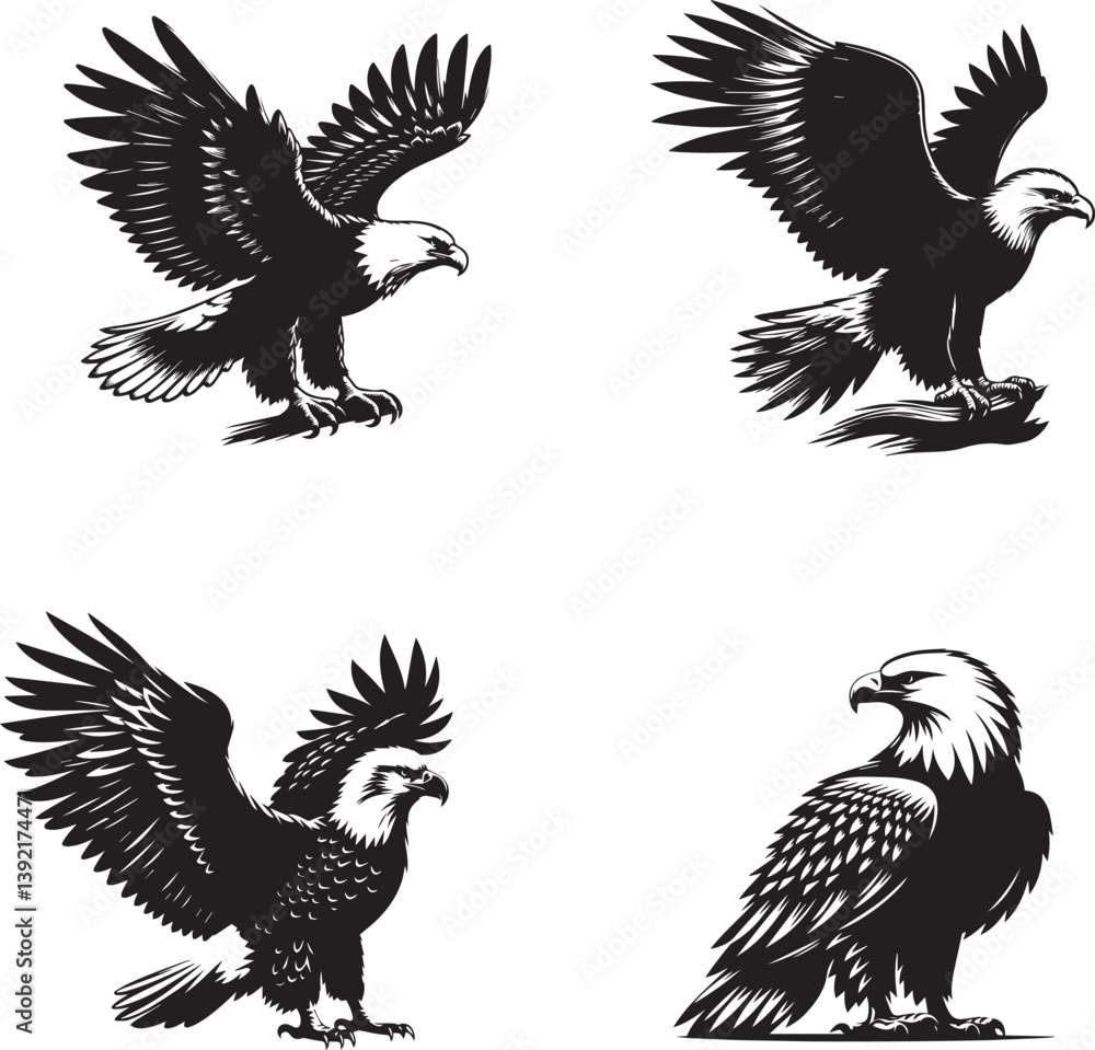Obraz premium Majestic Bald Eagle Vector Illustration – Patriotic American Bird Design