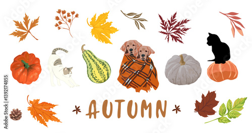 Vector set of autumn icons: falling leaves, cute dogs and cats, pumpkins. Fall season elements perfect for scrapbook, card, poster, invitation, sticker kit. Vector realistic illustrations isolated.