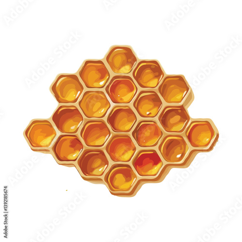 Honeycomb isolated on white background