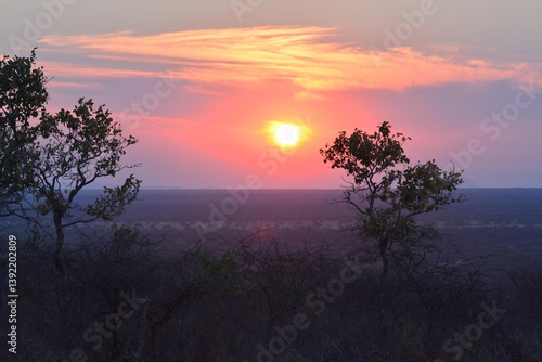 Sunset in africa Savanna