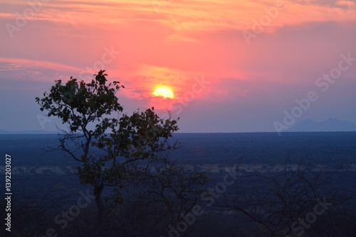 Sunset in africa Savanna