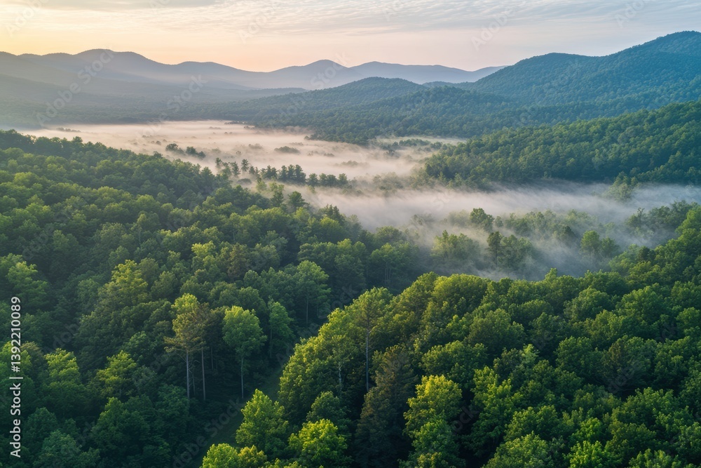 Aerial view of lush forest canopy with morning fog, soft lighting, vibrant greens, peaceful mood Aerial view of lush forest canopy with morning fog, soft lighting, vibrant greens, peaceful mood
