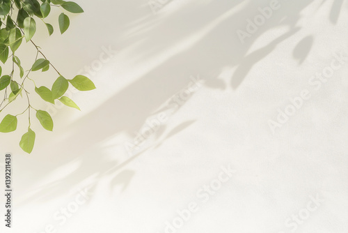 白い背景と葉っぱの背景	White background with leaves	