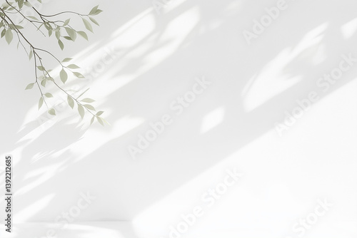 白い背景と葉っぱの背景	White background with leaves	