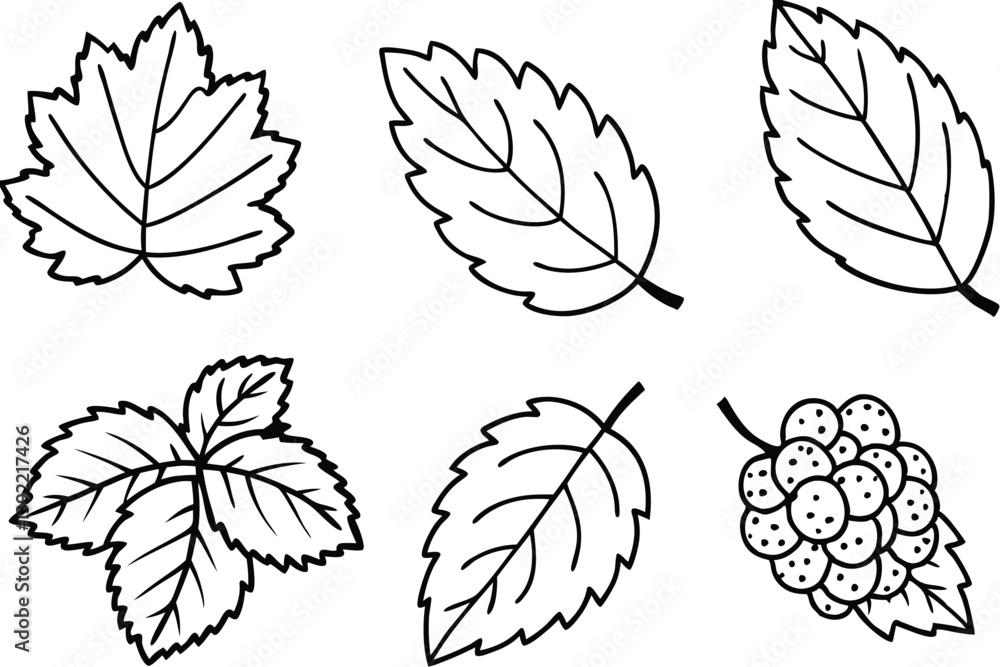 Fototapeta premium Mulberry Leaf Line Art Design for Botanical Themed Illustration 