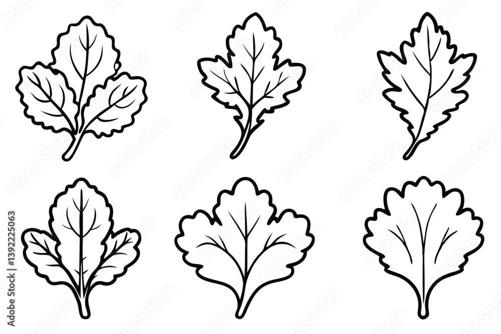 Mustard Green Leaf Line Art Simple Design for Illustration Mustard Green Leaf Line Art Simple Design for Illustration