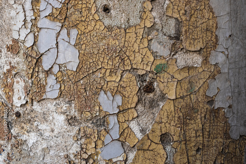 Plakat Wall