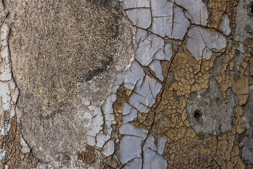 Plakat Wall