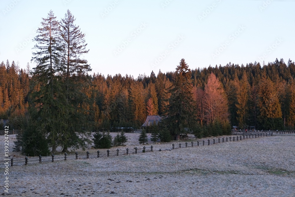 Grey Glade (Siwa Polana) with wooden fence covered with frost on early spring morning. This is the beginning of the Chochołowska Valley.