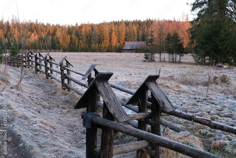 Grey Glade (Siwa Polana) with wooden fence covered with frost on early spring morning. This is the beginning of the Chochołowska Valley.