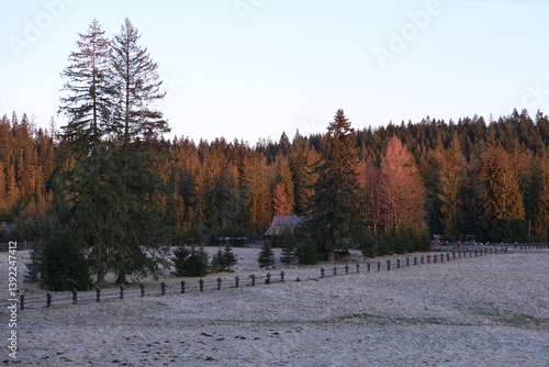 Obraz na płótnie Grey Glade (Siwa Polana) with wooden fence covered with frost on early spring morning. This is the beginning of the Chochołowska Valley. w salonie
