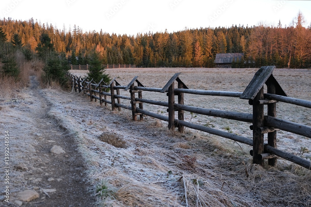 Grey Glade (Siwa Polana) with wooden fence covered with frost on early spring morning. This is the beginning of the Chochołowska Valley.
