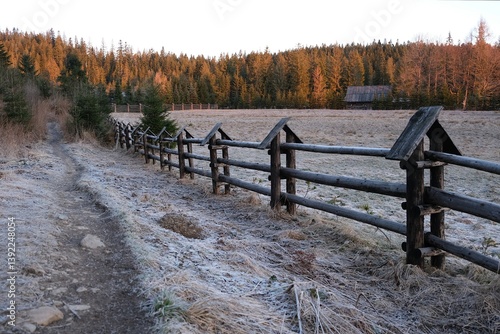 Grey Glade (Siwa Polana) with wooden fence covered with frost on early spring morning. This is the beginning of the Chochołowska Valley.